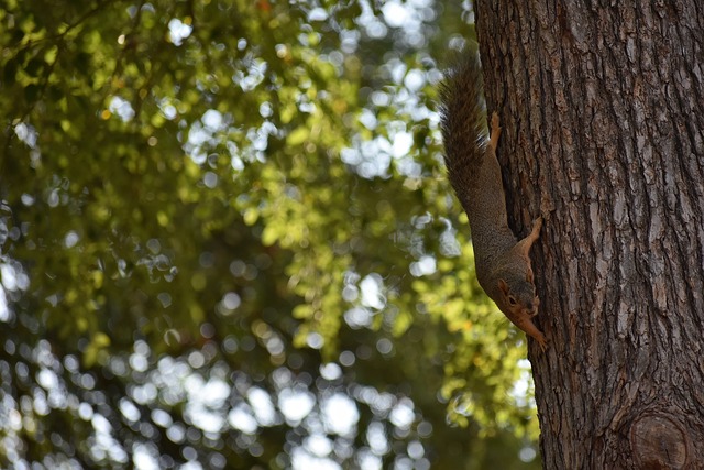 高強度著稱 高強度著稱