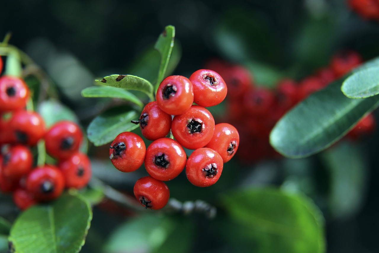 等名字如雷 等名字如雷